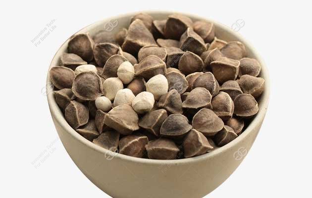 remove the moringa seed shell