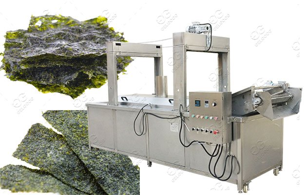 Seaweed Frying Machine Price